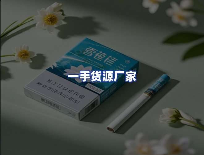 专业团队